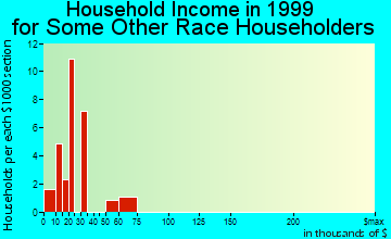 Fort Stewart household income for some other race householders