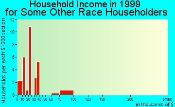 Griffin household income for some other race householders