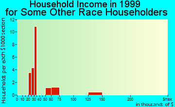 LaGrange household income for some other race householders
