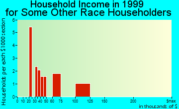 Lilburn household income for some other race householders