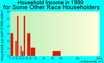 Morrow household income for some other race householders