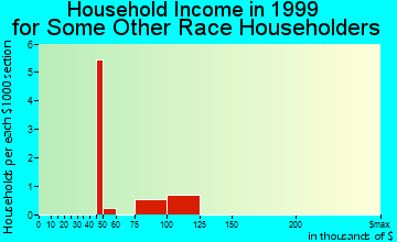 Swainsboro household income for some other race householders
