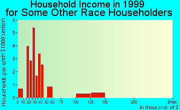 Hickam Housing household income for some other race householders