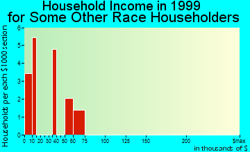 Ammon household income for some other race householders