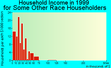 Burley household income for some other race householders