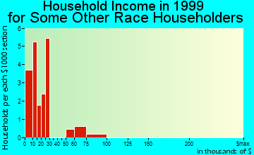 Hailey household income for some other race householders