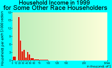 Heyburn household income for some other race householders