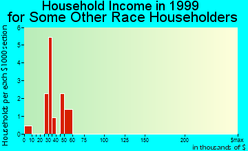 Ketchum household income for some other race householders