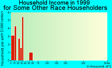 Lewiston household income for some other race householders