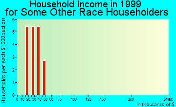 Mud Lake household income for some other race householders