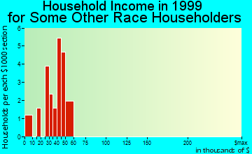 Shoshone household income for some other race householders
