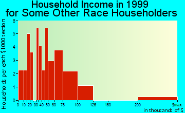 Beach Park household income for some other race householders