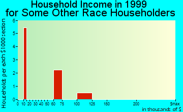 East Dundee household income for some other race householders