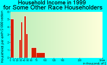 College household income for some other race householders