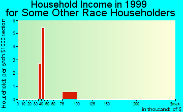 Kingston household income for some other race householders