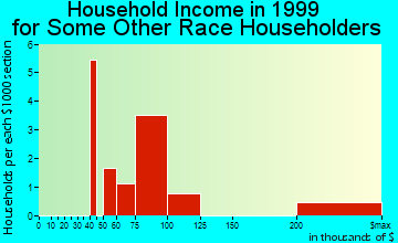 Lake in the Hills household income for some other race householders