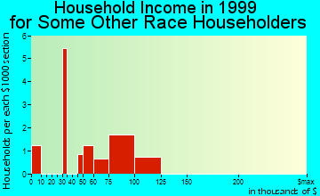 Orland Park household income for some other race householders