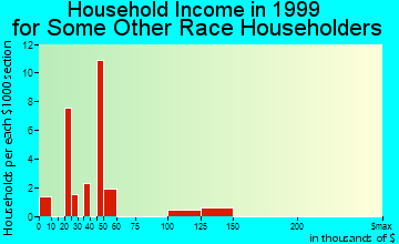 Rock Falls household income for some other race householders