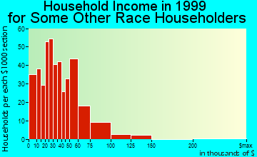 Rockford household income for some other race householders