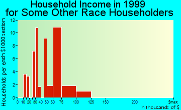 Schaumburg household income for some other race householders