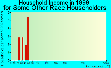 South Beloit household income for some other race householders