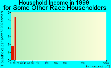 Houston household income for some other race householders