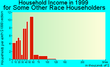 Woodstock household income for some other race householders