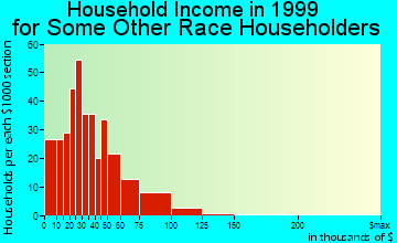 Fort Wayne household income for some other race householders