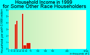 Lagrange household income for some other race householders