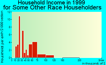 Portage household income for some other race householders