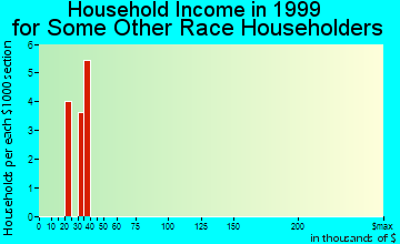 Rochester household income for some other race householders