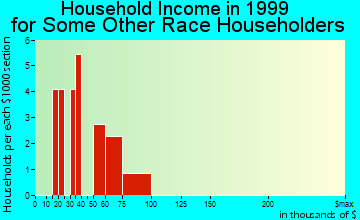 Belmond household income for some other race householders