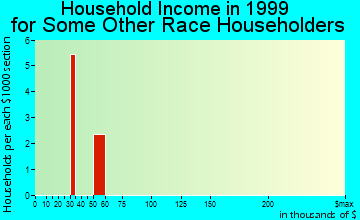 Nikiski household income for some other race householders
