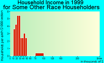 Clarion household income for some other race householders