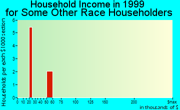 Nome household income for some other race householders