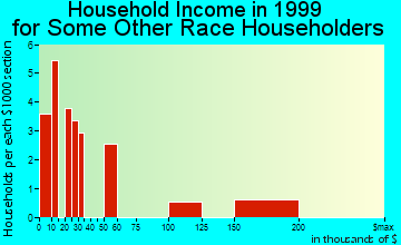 Center Point household income for some other race householders