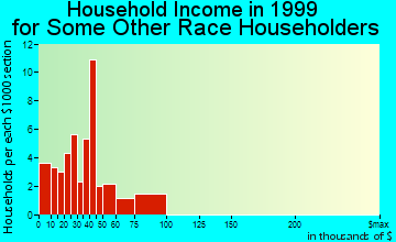 Denison household income for some other race householders