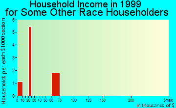 North Pole household income for some other race householders