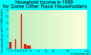 Newton household income for some other race householders
