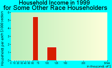 Chelsea household income for some other race householders