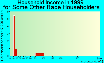 Spencer household income for some other race householders