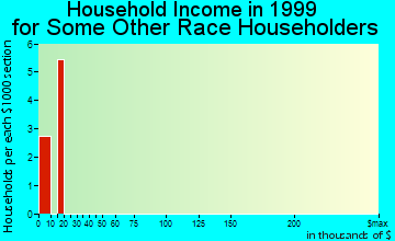 Belle Plaine household income for some other race householders