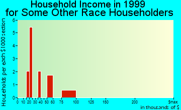 Council Grove household income for some other race householders