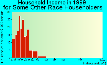 Emporia household income for some other race householders