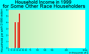Tok household income for some other race householders