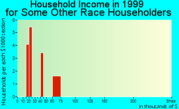 Gardner household income for some other race householders