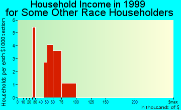 Valdez household income for some other race householders