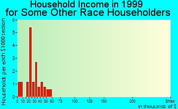 Sublette household income for some other race householders