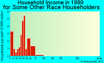 Bisbee household income for some other race householders