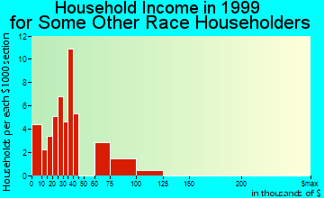 Bowling Green household income for some other race householders